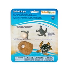 662316 綠蠵龜的成長過程 Life Cycle of a Green Sea Turtle, 18*23*2.1cm