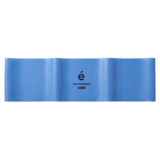 erugam 欸嚕嘎姆 核心訓練彈力圈 ERAB-002, 藍色, 1個
