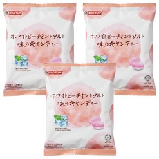 BIG TOP 水蜜桃薄荷味鹽糖, 100g, 3袋