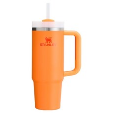 STANLEY 台灣公司貨 冒險系列 吸管隨手杯2.0, 熱帶橙, 880ml, 1個