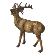 COLLECTA 野生動物系列 動物模型玩具, 公鹿, 1個