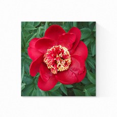 Edenmisul 83M 紅色花園 帆布畫框