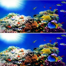 MIMINEAQUA 3D魚缸背景貼, 海底世界之旅A款