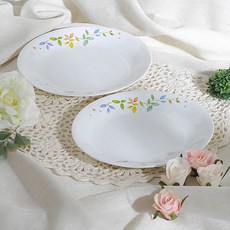 Corelle Brands 康寧餐具 浪漫花園圓形中盤, 1套, 盤子 2件, 混色