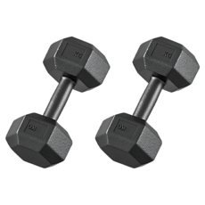 HOME GYM CLUB 居家健身 PVC六角包膠啞鈴, 2個, 10kg