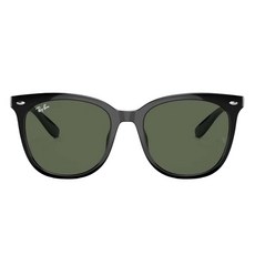 Ray-Ban 雷朋 膠框太陽眼鏡 拋光 RB4379D-601/71