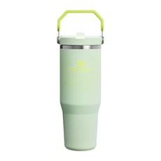 STANLEY 經典系列 IceFlow 手提吸管杯 2.0, 幻影綠, 1個, 880ml