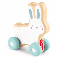fisher-price 費雪 木製推著走小兔子觸覺玩具, 混和顏色, 1套