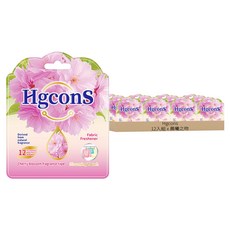 Hgcons 韓版特調清新持久掛式香氛包 12入組, 279g, 1套, 晨曦之吻