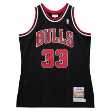 mitchell & ness NBA 球迷版球衣
