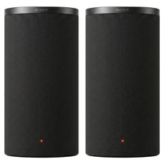 SONY 索尼 BRAVIA Theatre Rear 9 SA-RS9 音箱 2個 黑色