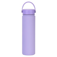 FAJI 304 不鏽鋼保溫杯 保溫水壺, 香芋紫, 1個, 750ml