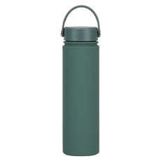 FAJI 304 不鏽鋼保溫杯 保溫水壺, 苔蘚綠, 1個, 750ml