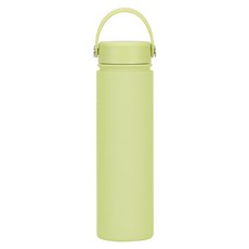 FAJI 304 不鏽鋼保溫杯 保溫水壺, 檸檬綠, 1個, 750ml