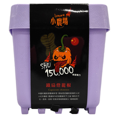 台灣 iPlant 積木農場盆栽, 鐵扇燈籠椒