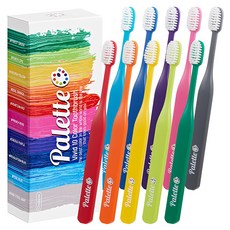 oradense Palette 雙重細軟毛牙刷 經典款, 10入, 1個