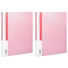 Lan CHYn 連勤牌文具 pp大理石紋20入資料簿 lc-2020, 粉紅色, 2本