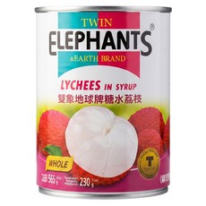TWIN ELEPHANTS 雙象地球牌 荔枝罐, 565g, 1罐