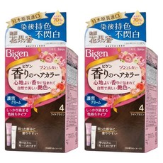 Bigen 美源 花果香快速染髮霜, 4亮棕色, 2盒
