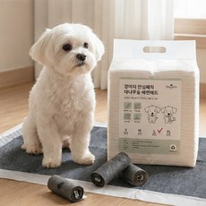 Petconomy 小狗安全魔術竹碳尿布墊, 40片, 1包