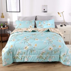 INDIAN 印地安 荳荳珊瑚絨保暖抗菌可水洗被 2.5kg, 款式隨機