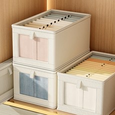 solve living 透明上蓋衣物整理收納箱, 2個, 米色