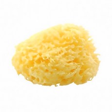 nIZio 希臘天然蜂巢海棉 特大型, 黃色, 1個