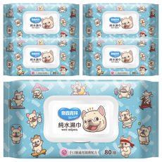 奈森克林 一神家族純水濕巾 掀蓋, 1入, 5包