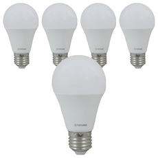 TATUNG 大同 全電壓LED節能燈泡 12W E27, 晝光色(白亮), 5個