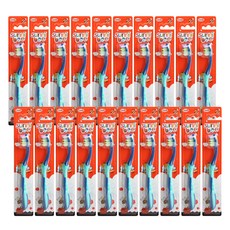 Gnma sunni bee男孩童牙刷組 第3階段, 混色, 1件, 20入