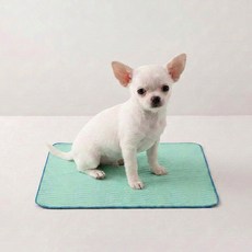 DING DONG PET 狗狗可水洗柔軟尿布墊, 1個, 2入
