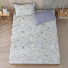 Hong Yew Bedding 鴻宇寢飾 100%精梳純棉床包 + 枕套2個 C20157 台灣製