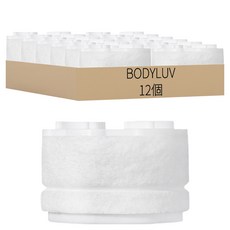 BODYLUV 第二代廚房水龍頭濾芯 Set 固定型 過濾鐵鏽雜質, 12個