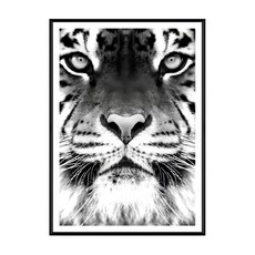 獨行獵者 老虎 1個 黑白動物掛畫, 黑色