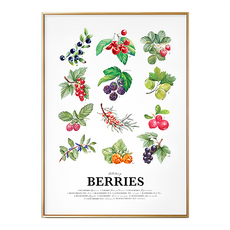 莓果集 BERRIES 海報, 金色