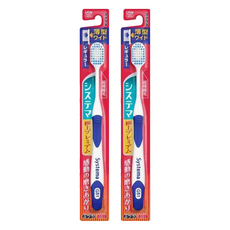 LION 獅王 Systema 細潔 牙齦護理寬頭中性毛牙刷, 1入, 2支