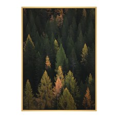 BOLUO GALLERY 菠蘿選畫所 秋色, 木色
