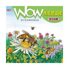 小牛頓 WOW原來是這樣 動物身體, 平裝書