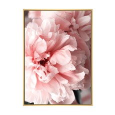 花開富貴 牡丹II, 木色