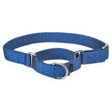 PetSafe 普立爾 專業犬訓練頸圈, 藍色, 1條