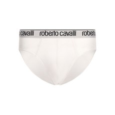로베르토카발리 로고 브리프