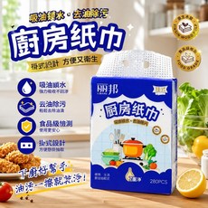 麗邦 廚房紙巾 掛式設計 吸油鎖水, 1個, 麗邦懸掛廚房紙巾280張一串, 280張