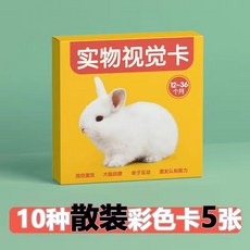 嬰兒早教黑白卡片 視覺激發卡 0-3個月寶寶追視, 1個, 20%選【12+月(彩圖10種圖】
