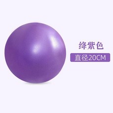 璽翊 25cm 瑜伽小球 普拉提球 孕婦盆底肌輔助工具, 深紫色20CM 承重150.0公斤 加重, 1個