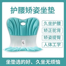 ZA Peace and Happiness 護腰矯姿坐墊 一體式靠墊 辦公室久坐人體工學設計 活力藍