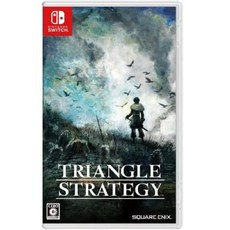 SWITCH 策略角色扮演 多重結局 體驗史詩劇情, 亞版中文版
