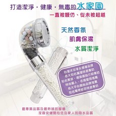 潔霖安健 負離子美妍健康沐浴器 淨水器 冰柱銀 台灣製造 安裝簡單 隨身攜帶, 1個