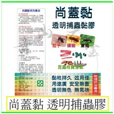 尚蓋黏 透明誘蟲膠 黏性持久 效材佳 用途廣 安全無毒, 1個