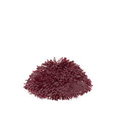 알라누이 프린지 시퀸 모자