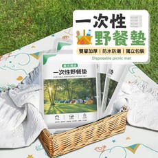 一次性野餐墊 輕巧便攜 防水防潮 加大尺寸 多用途地墊, 隨機